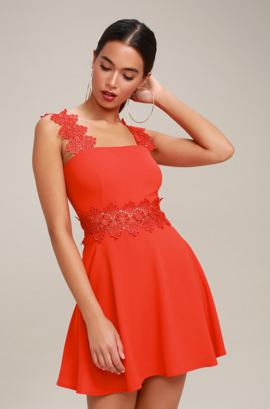 VISUAL TREAT RED LACE SKATER DRESS