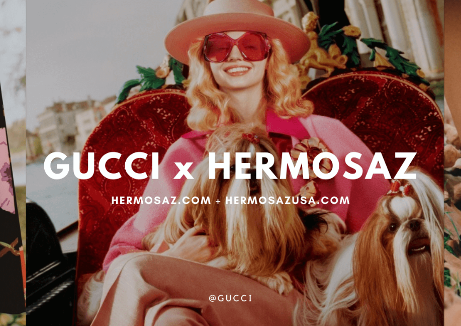Gucci x Hermosaz