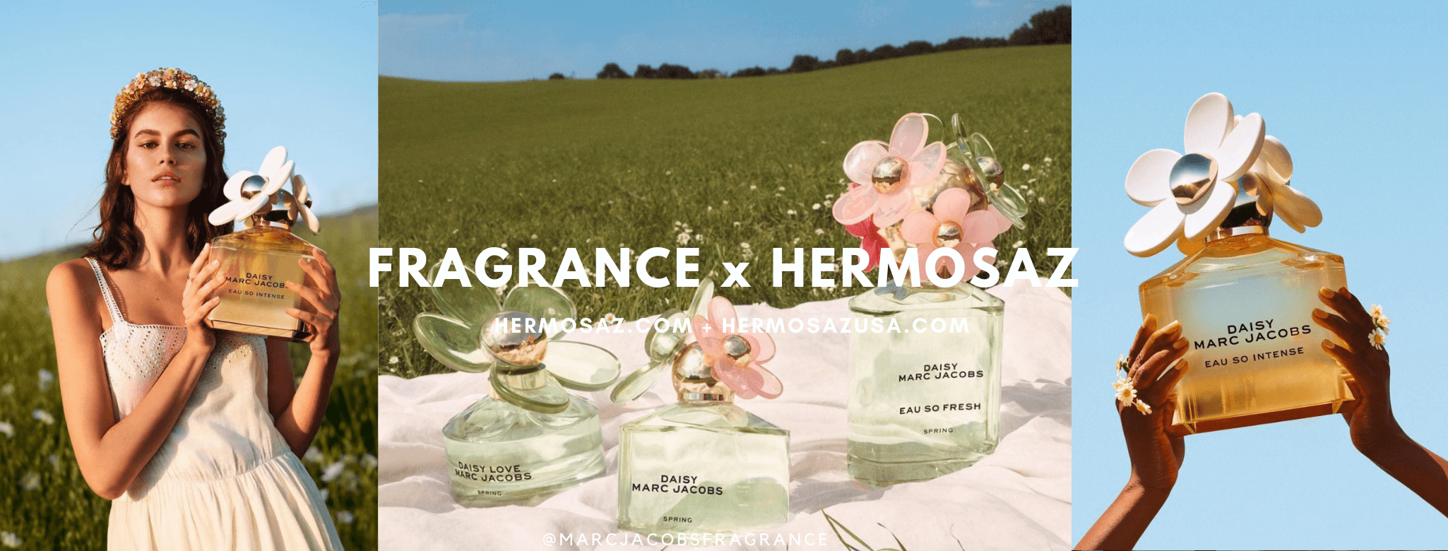 Fragrance x Hermosaz